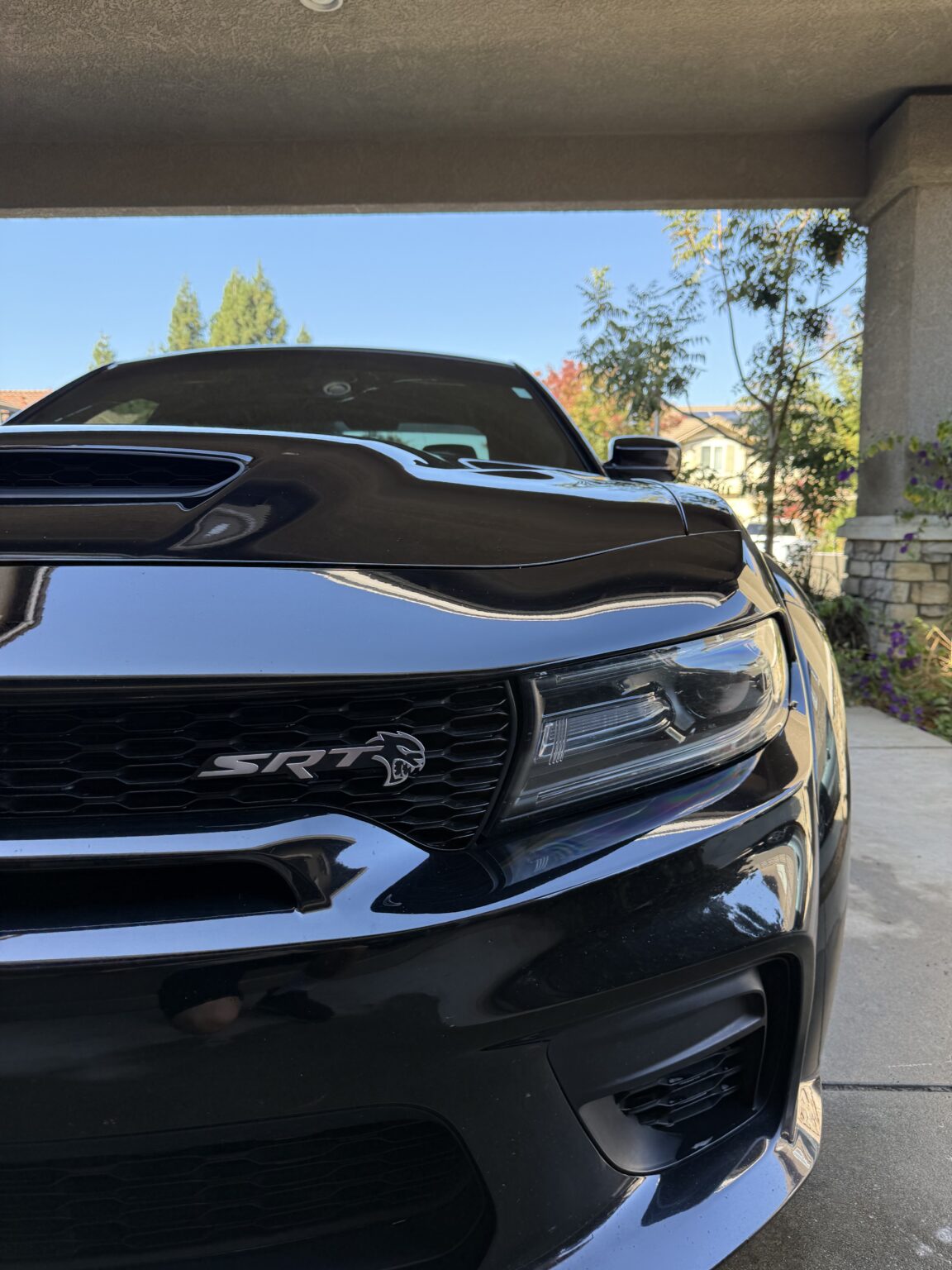 hell cat ceramic coating